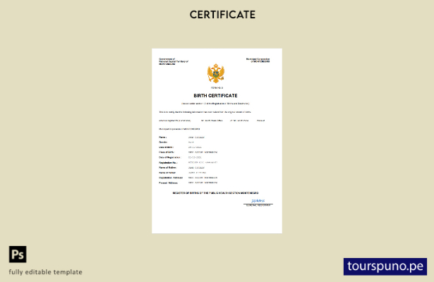listo para imprimir certificado de nacimiento de Montenegro Plantilla en Word y